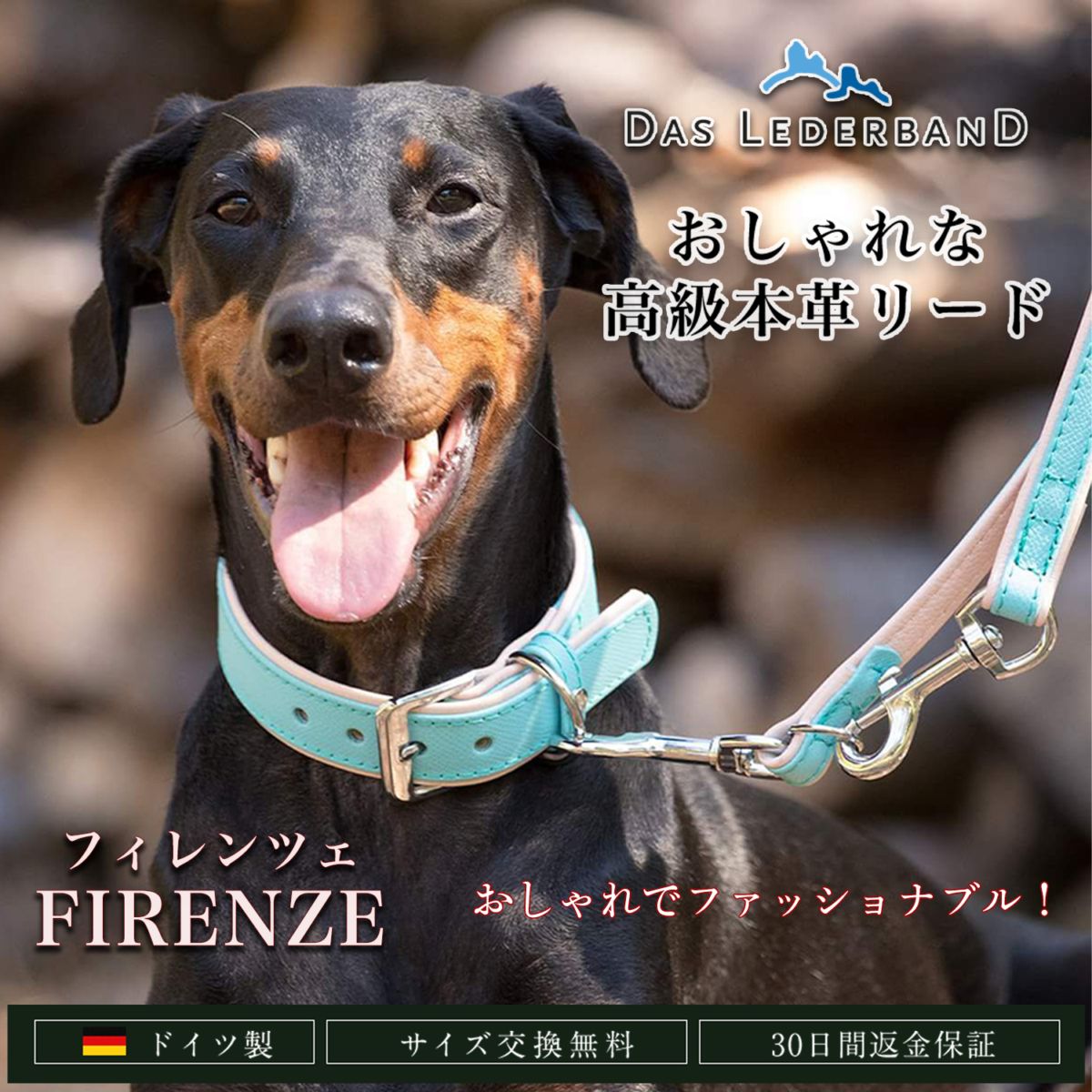 ドイツ製 高級本革リード Das Lederband ダスレダーバンド 「Firenze（フィレンツェ）」犬 リード レザー 本革 ２色 バイカラー おしゃれ 有害化学物質不使用