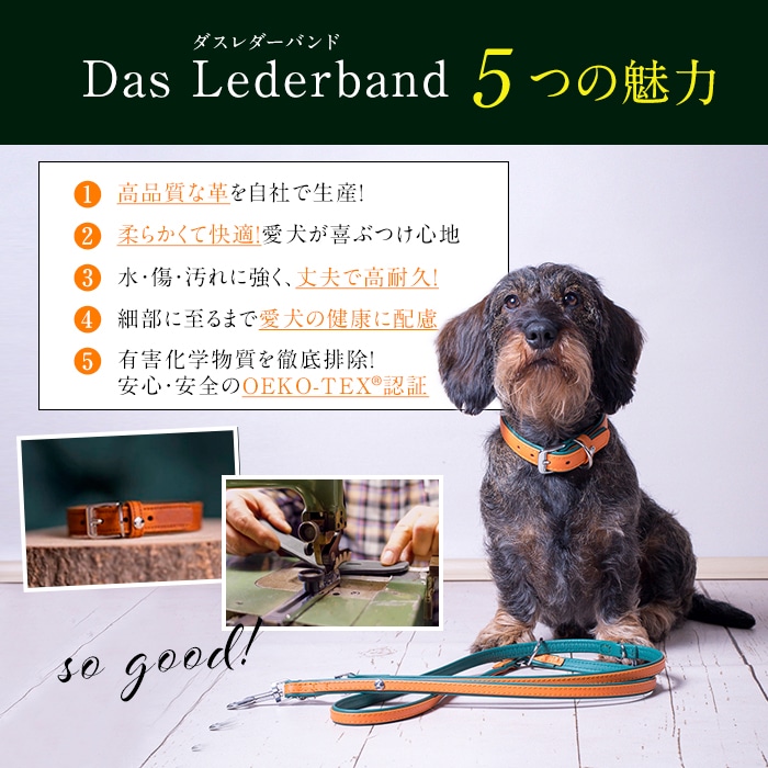 フレキシ 伸縮リード ドイツ製 高級本革リード Das Lederband ダス