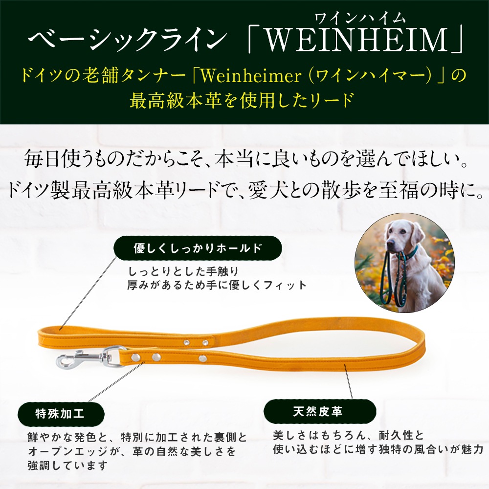 フレキシ 伸縮リード ドイツ製 高級本革リード Das Lederband ダス