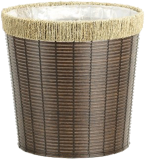 観葉植物　パキラ　10号