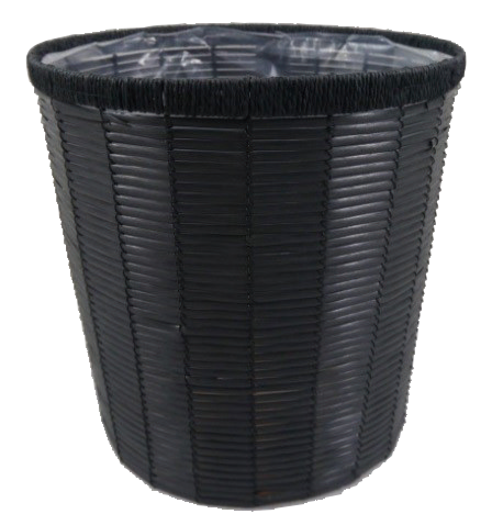 観葉植物　幸福の木　マッサン　10号