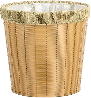 観葉植物　幸福の木　マッサン　10号