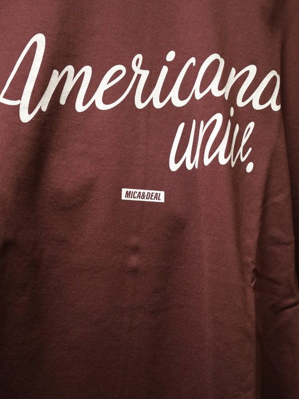【MICA&DEAL】Americana×MICA ロンT
