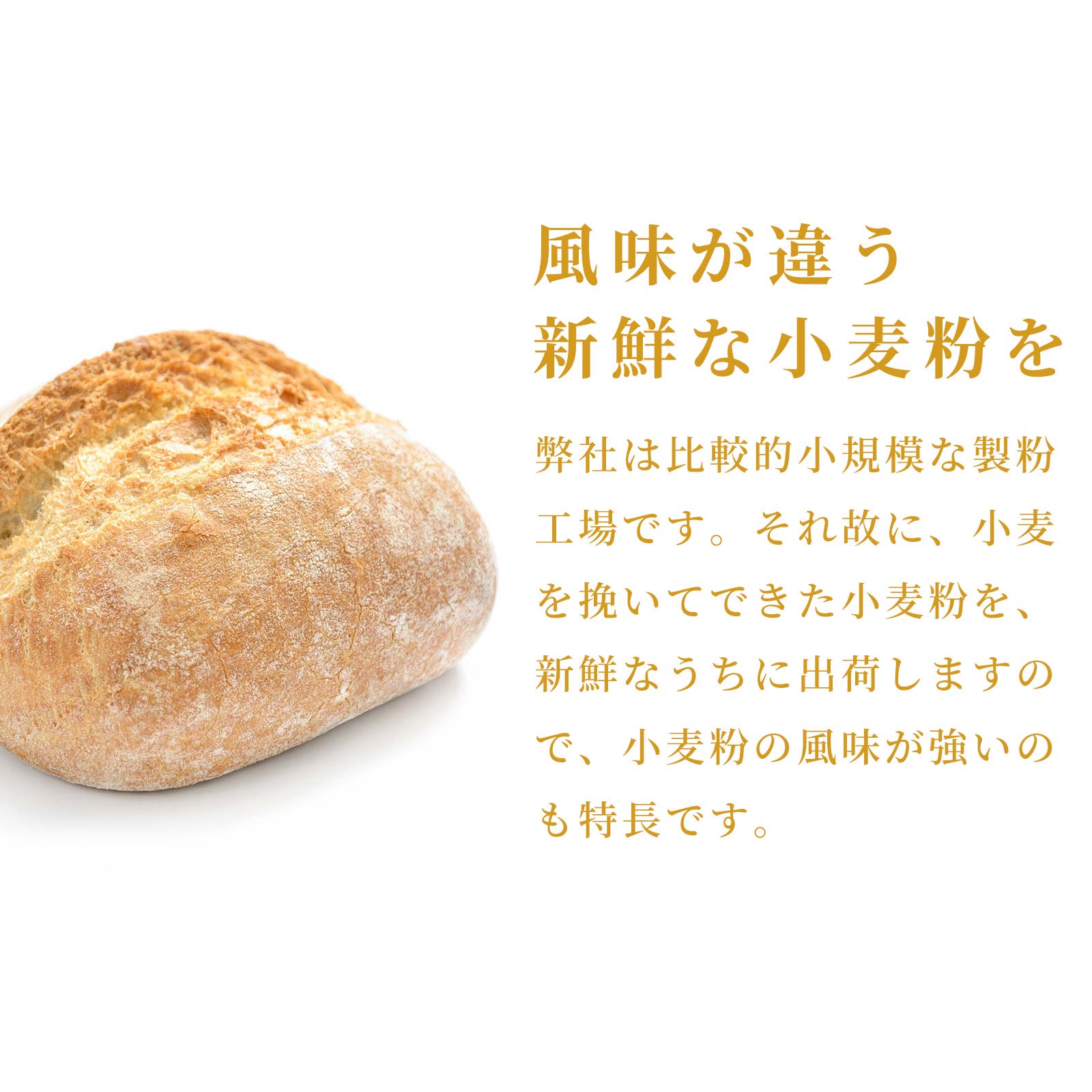 レピ・ドール
