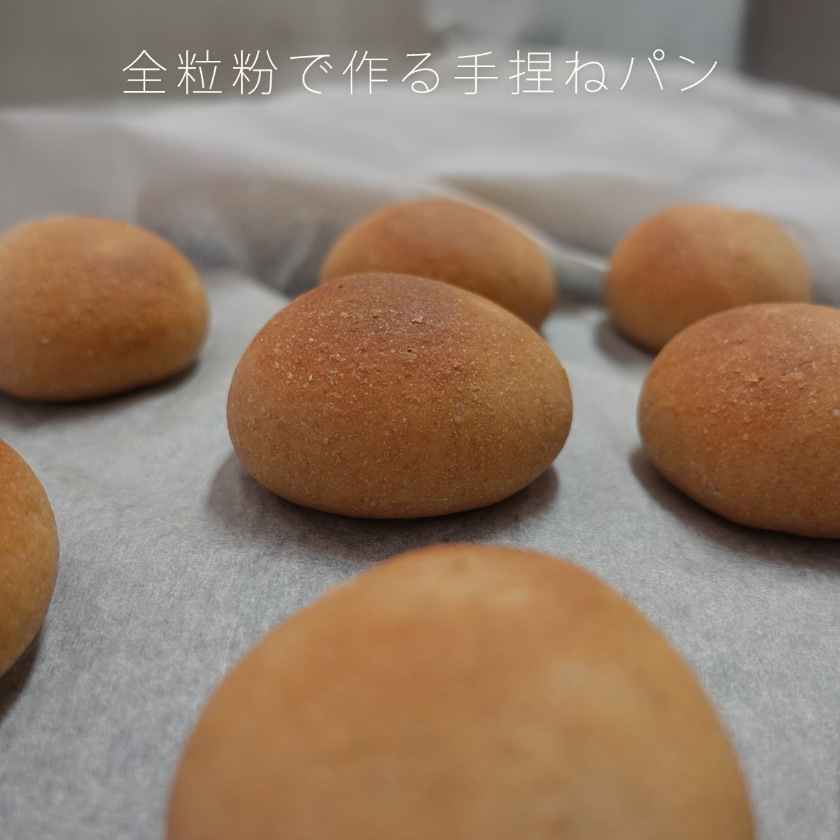 ブラウワー和の全粒粉