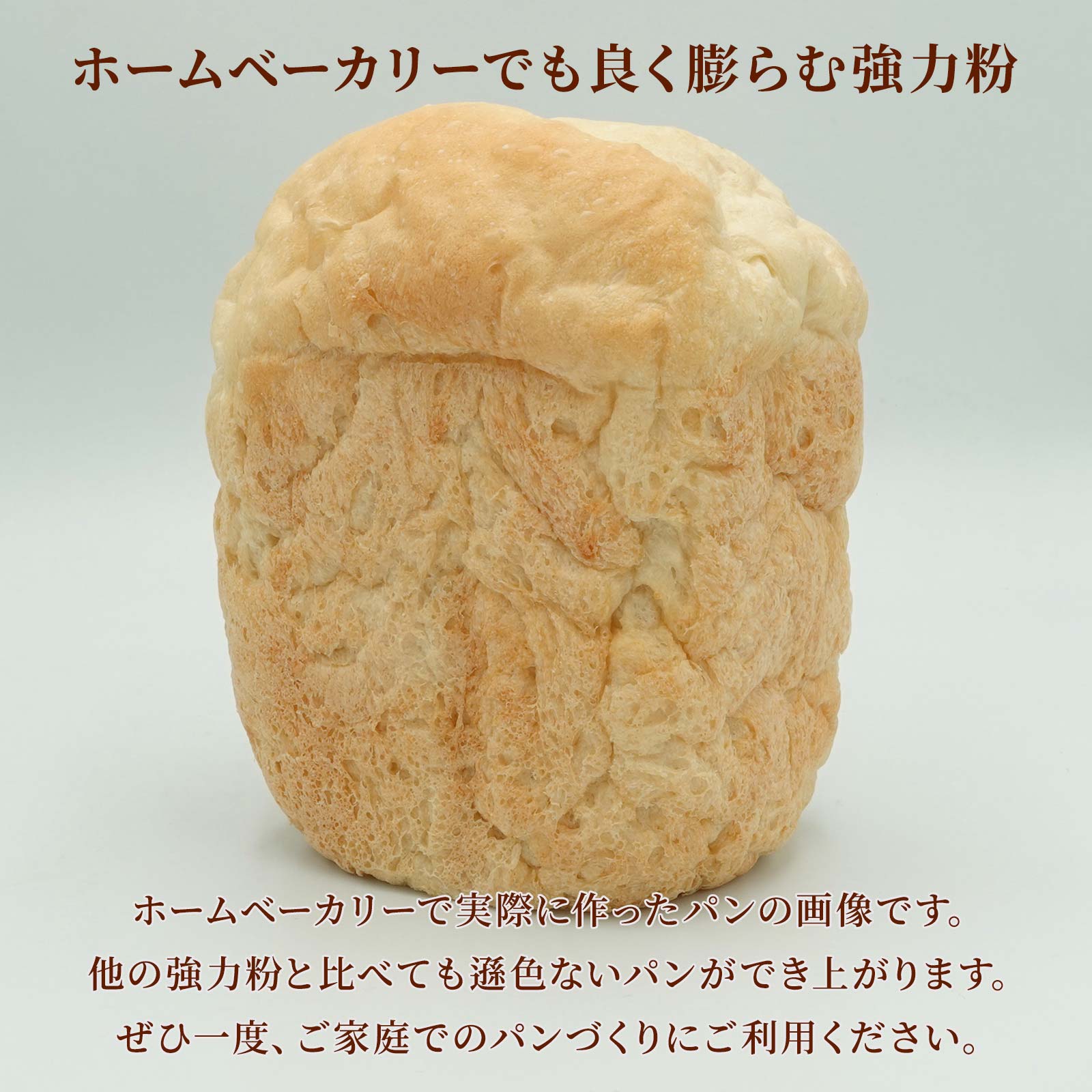 はるみずき（業務用サイズ）