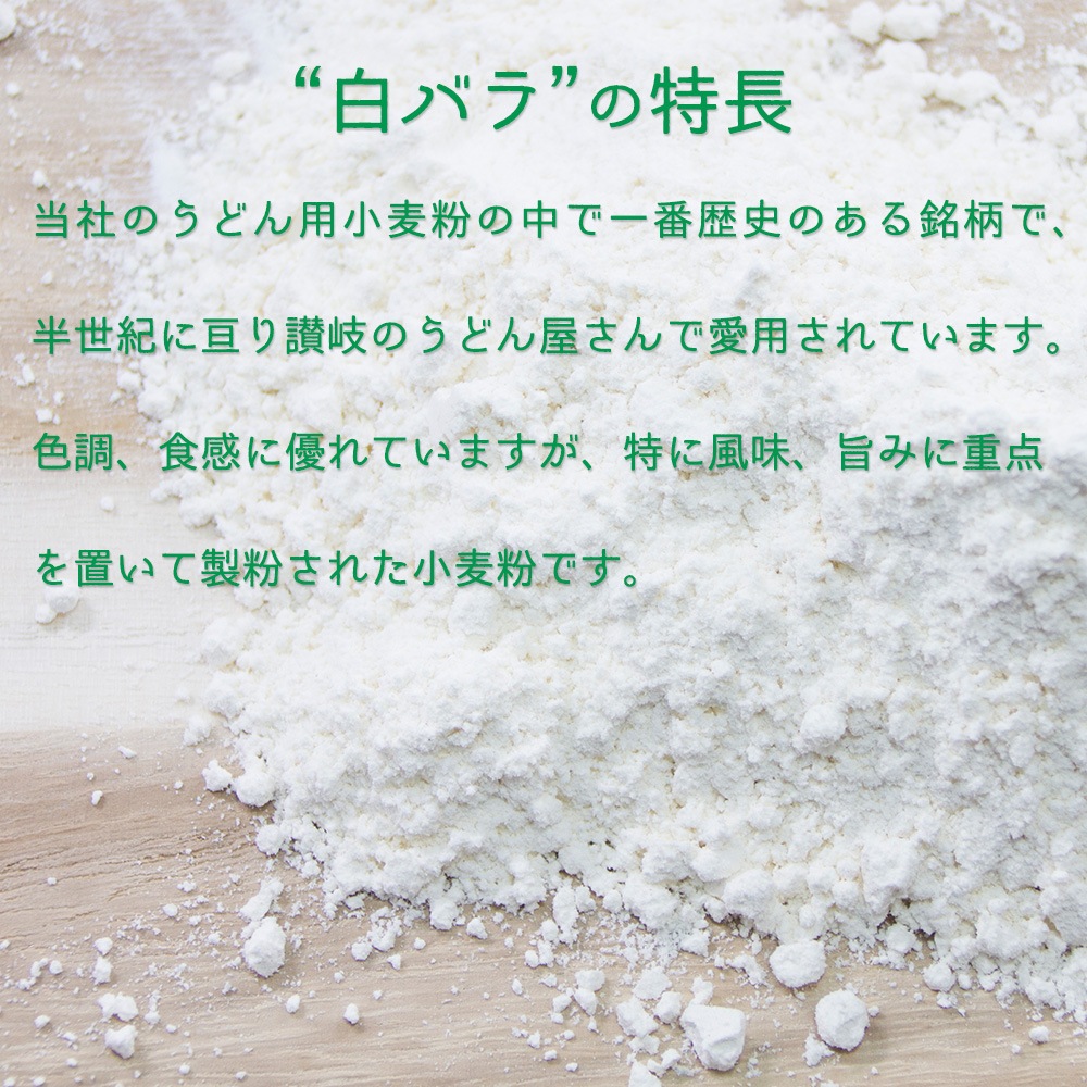 白バラ（業務用サイズ）