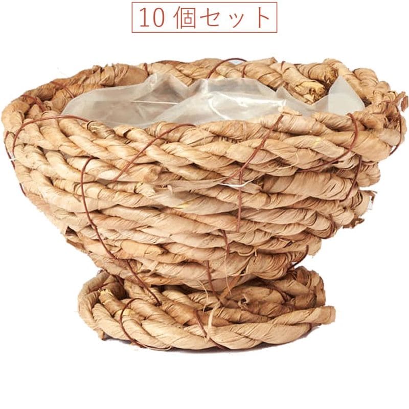 NEW盃型S 10個セット