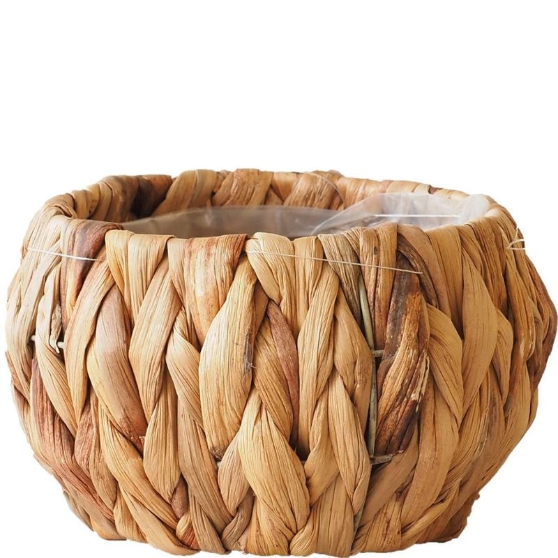 アミアミ丸 S（7600032に同じ商品がございます）