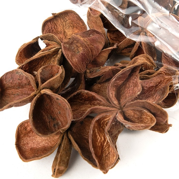 RMロータスフラワー 12個セット