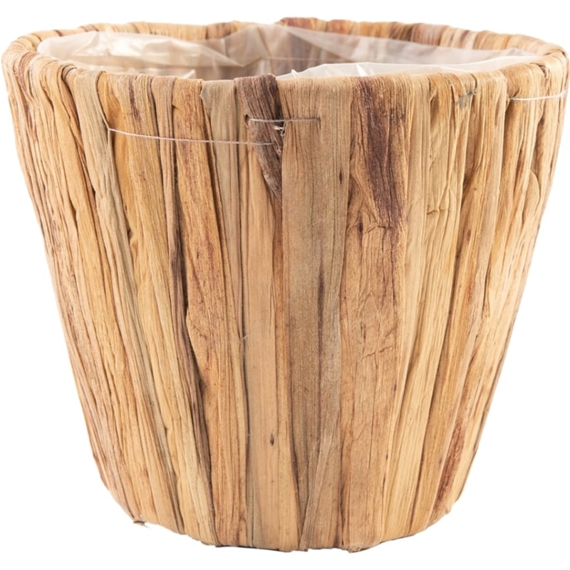 PPペールカップナチュラルM 14xH12