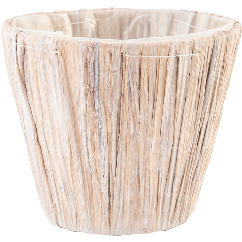 PPペールカップホワイトM 14xH12