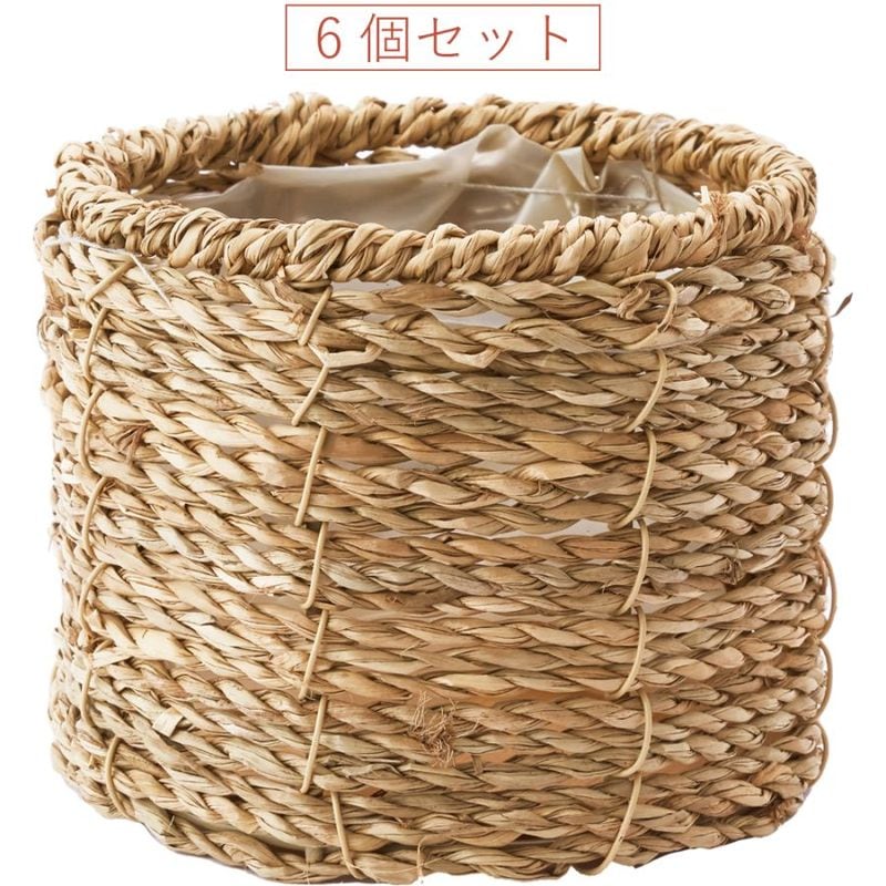 PPシーグララウンドSS　6個セット