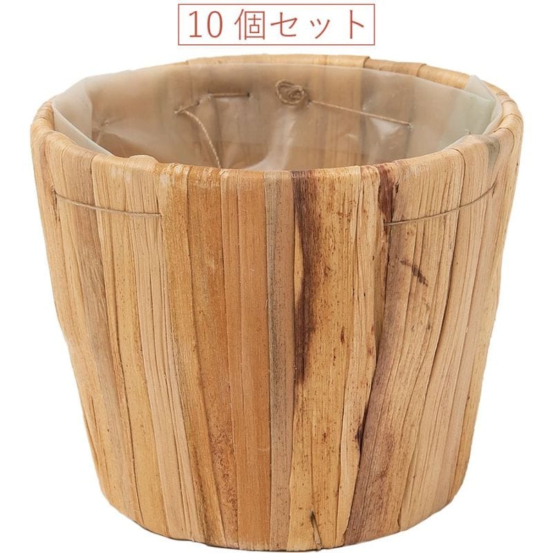 PPペールカップナチュラルSS　10個セット