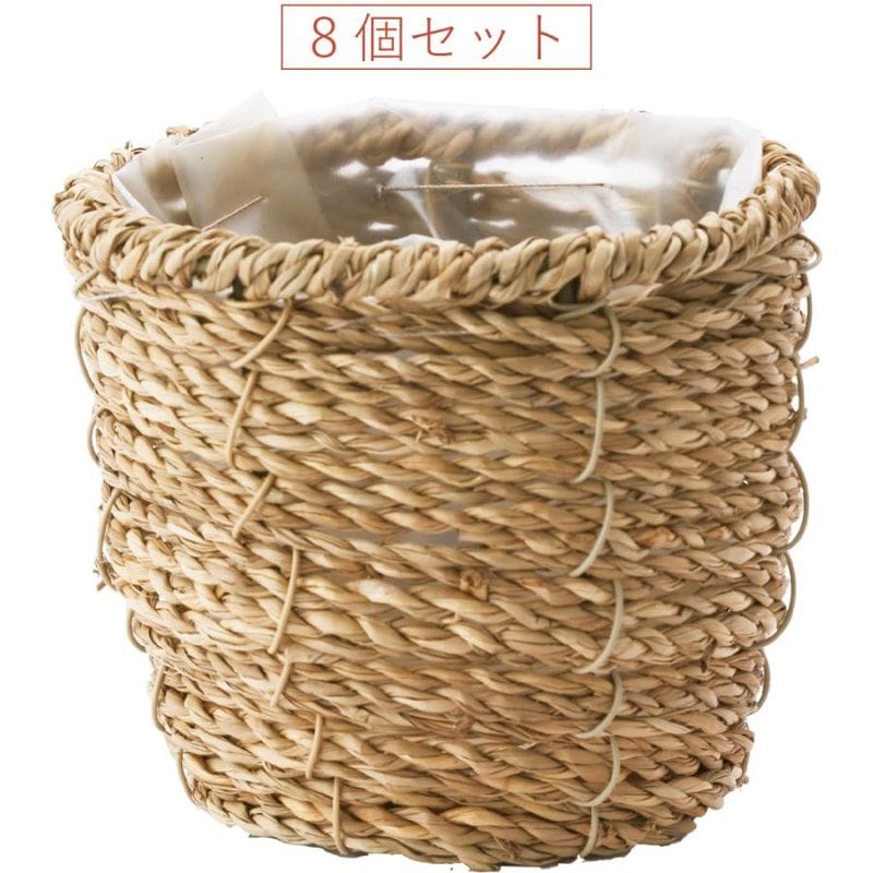 PPシーグラスアールSS 8個セット