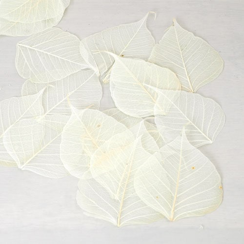 【予約商品】【再入荷】RMピープルスケルトンブリーチ 約20枚セット