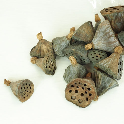 RMロータス小 約24個セット