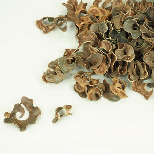 RMカーリーポッド 約200g