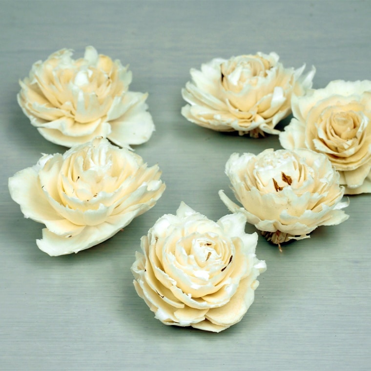 【予約商品】【再入荷】RMソラキャベッジフラワー ホワイト 6cm 6個セット