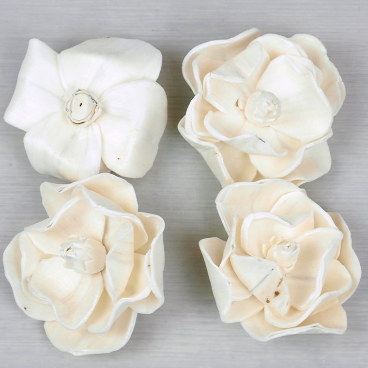 RMソラシート 幅12cm 2個セット | ドライマテリアル | 花の資材