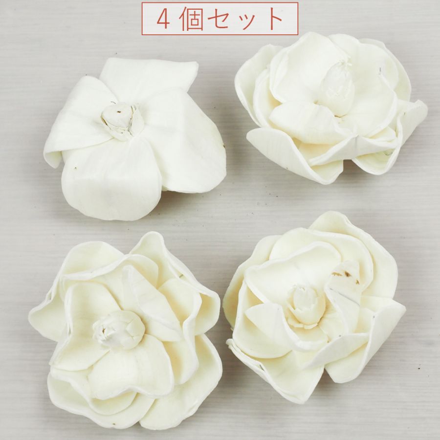 RMソラマグノリアローズ 6cm 4個セット | ドライマテリアル（天然素材
