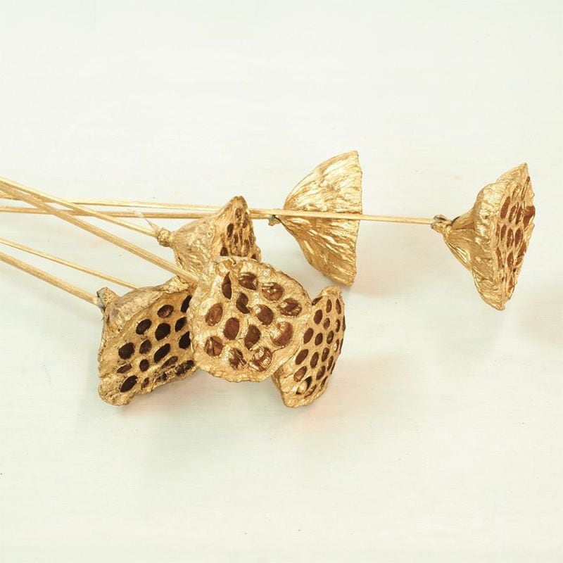 RMロータススティック 6個セット