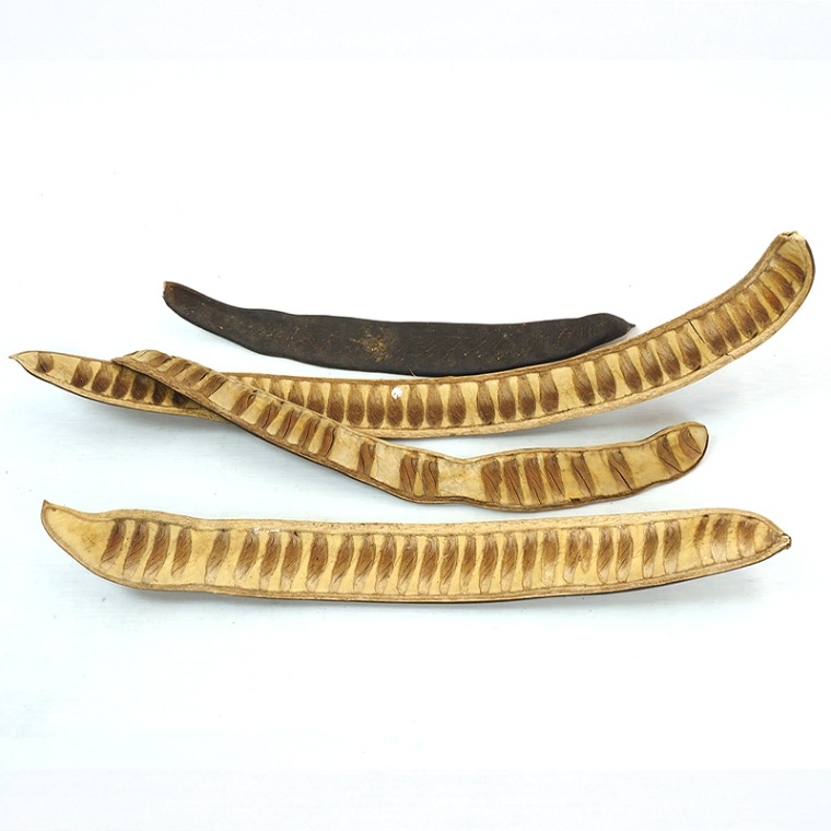 RMステップフルーツ 4個セット