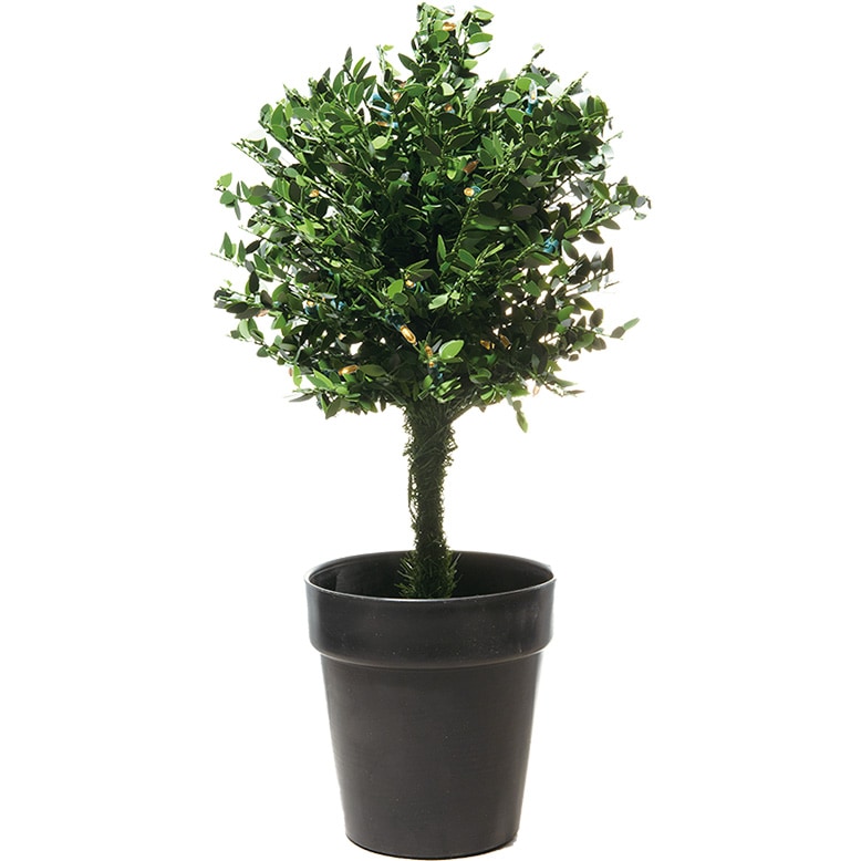 HTトピアリーツリー LEDライト付 φ35xH60cm