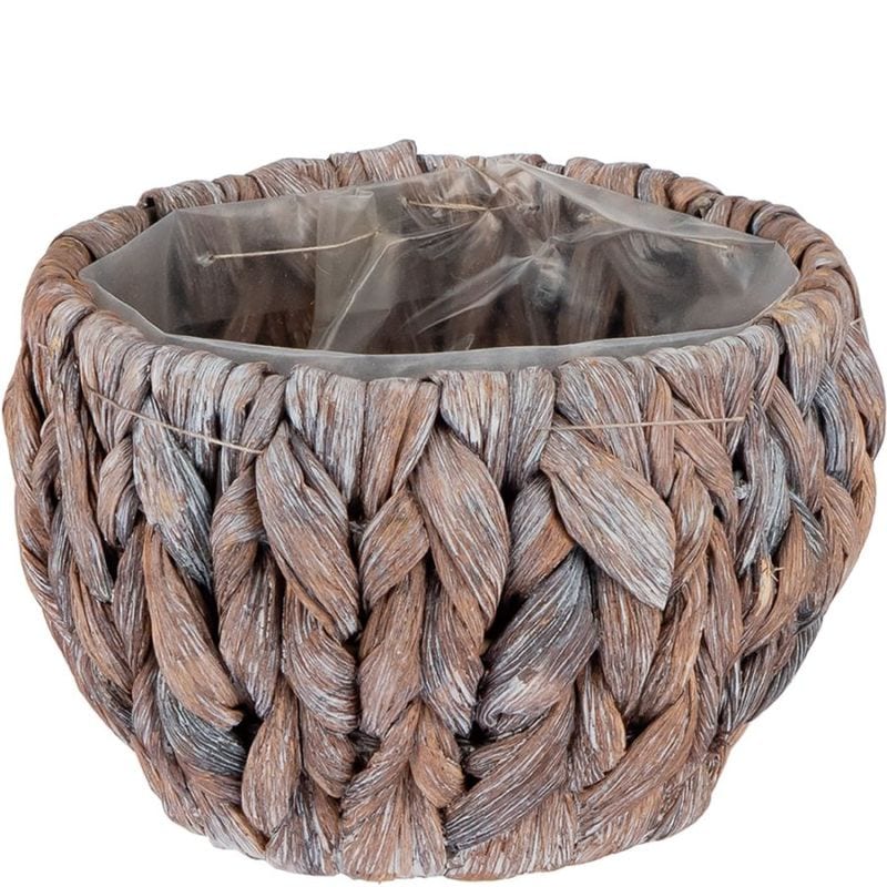 PPアミアミ丸SS ココア