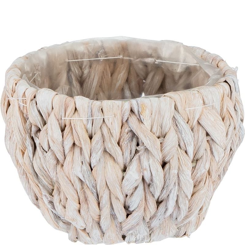 PPアミアミ丸SS ホワイト