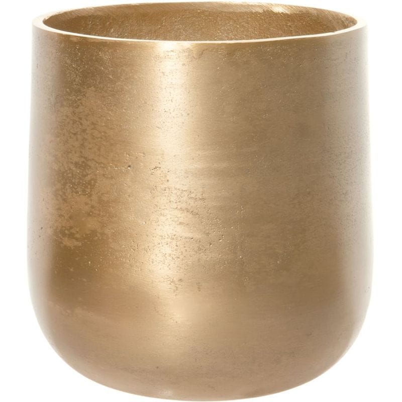 AM8ベース ゴールドH31