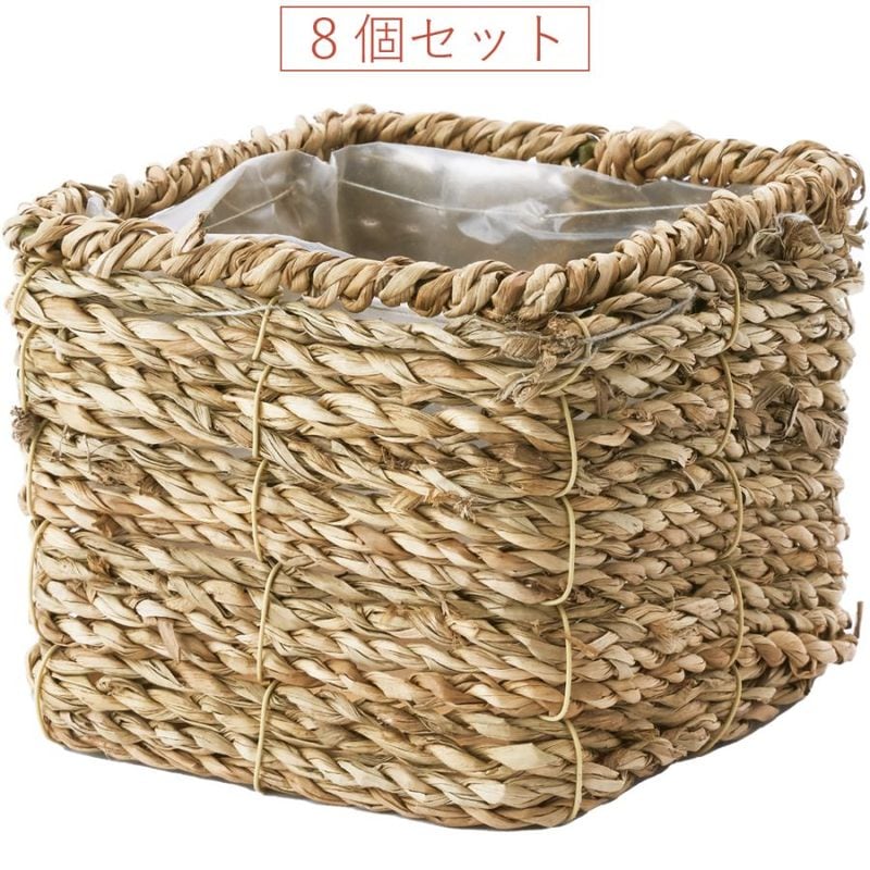 PPシーグラ正方形ナチュラル mini 8個セット