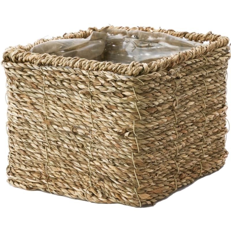 PPシーグラ正方形ナチュラルS