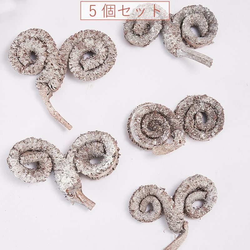 RMパームリングホワイト5個セット