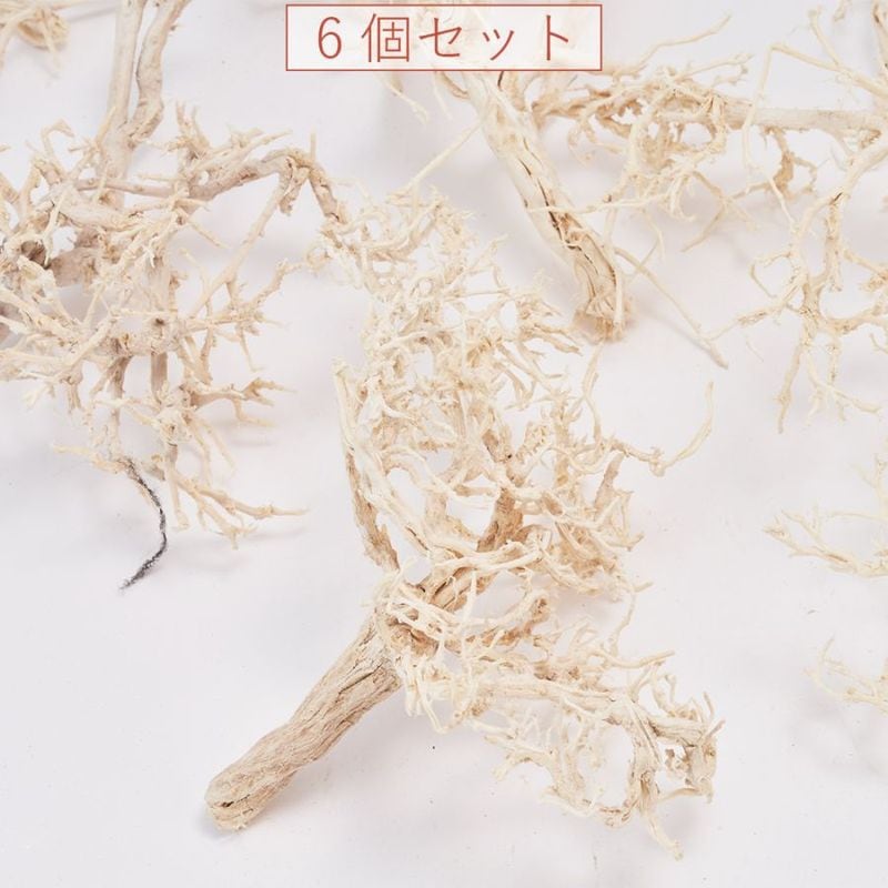 RMマルゴサツリー約6個セット