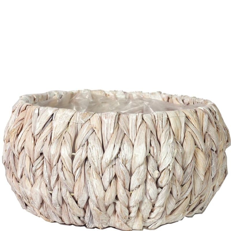 アミアミ丸 L　ホワイト