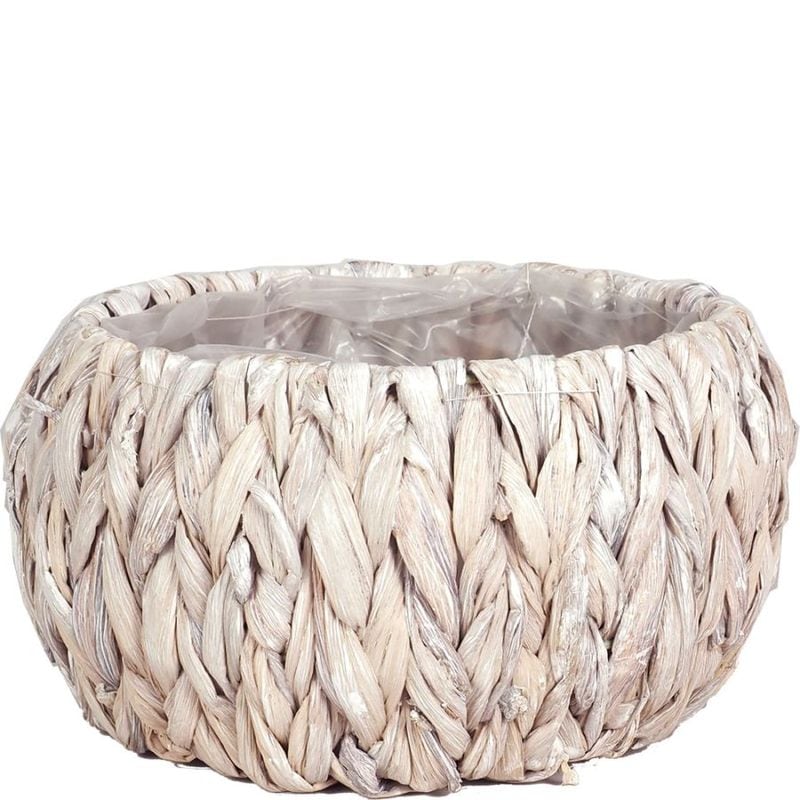 アミアミ丸 M　ホワイト