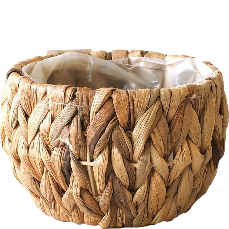 アミアミ丸 SS   (7600031に同じ商品がございます)