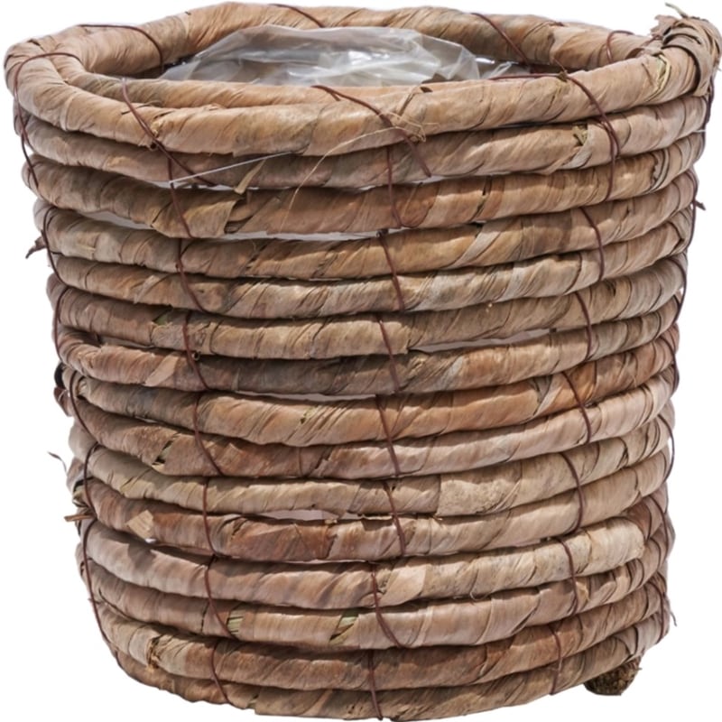 ポットクラシック 5号