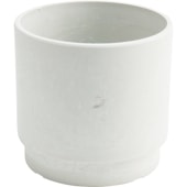 SKステップ 15.5x15 ミルキー