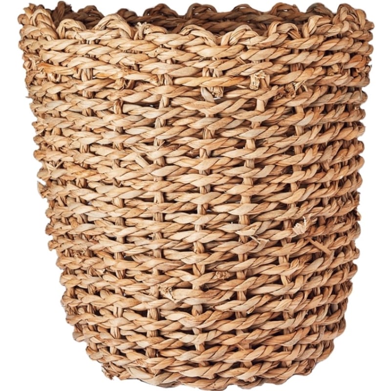 MHモグラスポット 8号 @