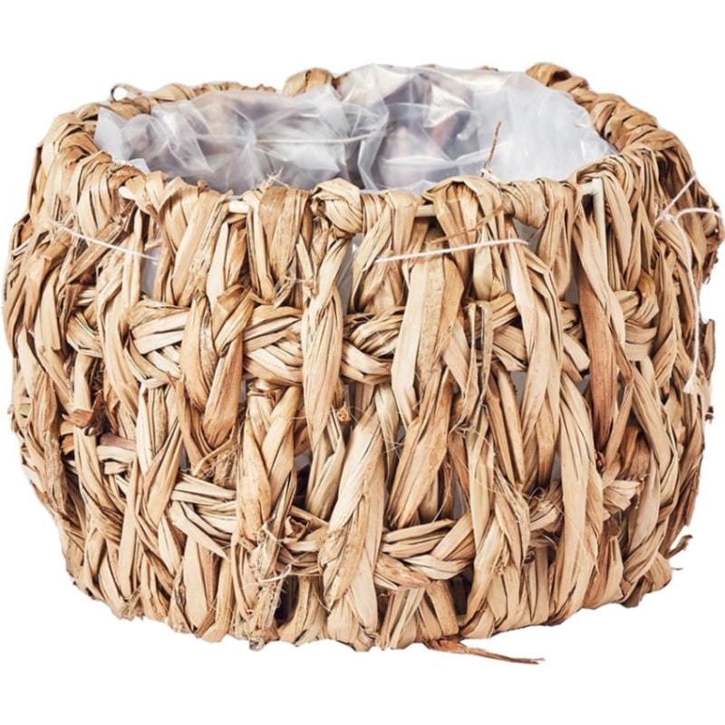 ホグラス浅型円形SS