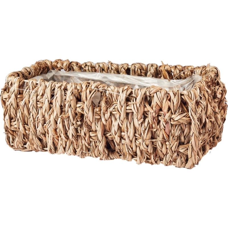 ホグラス浅型長方形S