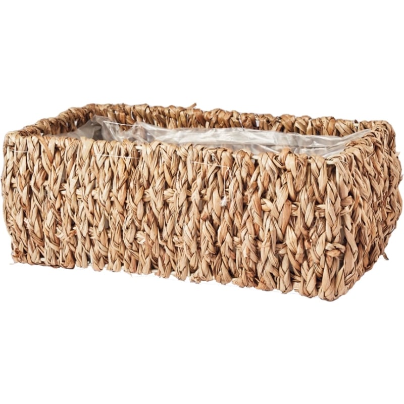 ホグラス浅型長方形M