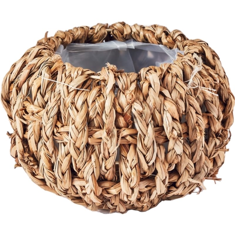 ホグラスボウルS