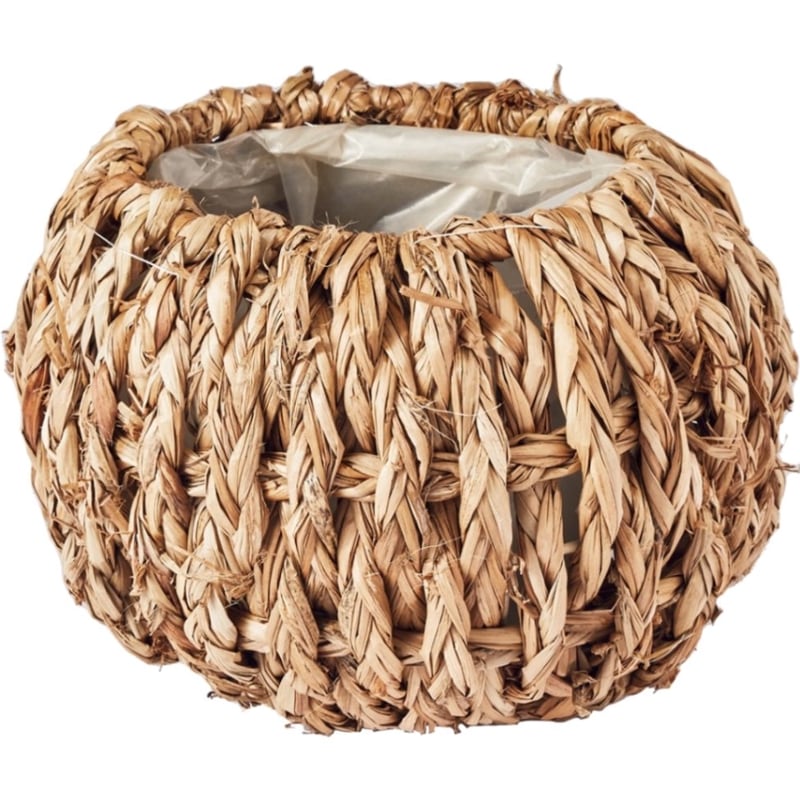 ホグラスボウルM