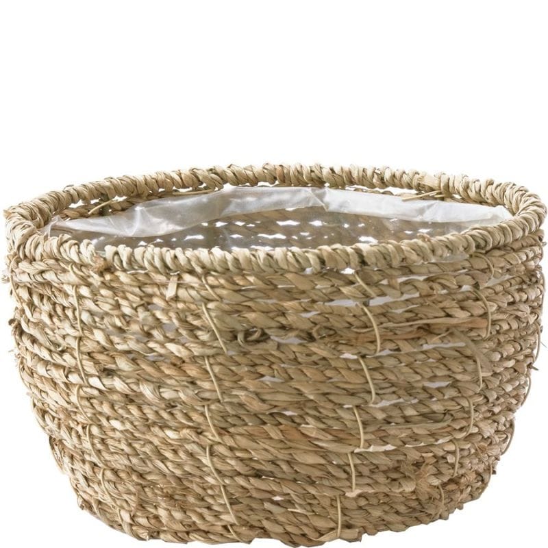 【予約商品】【再入荷】PP浅丸シーグラスナチュラルS　φ18×H10