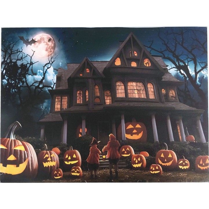 HEルミナスキャンバス40x30 ゴーストハウス