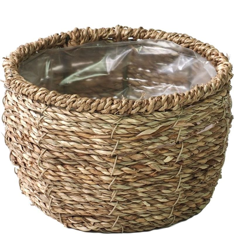 【予約商品】【再入荷】PP浅丸シーグラスナチュラルSS　 φ14×H9