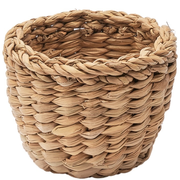 BBホグラナスアールポットφ12xH10.5